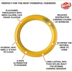 Nylabone - Jouet à Mâcher Bacon Cheeseburger Extreme Ring Chew - L