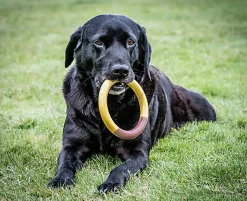 Nylabone - Jouet à Mâcher Bacon Cheeseburger Extreme Ring Chew - L