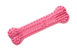 Nylabone - Jouet à Mâcher Puppy Dental Bone XS