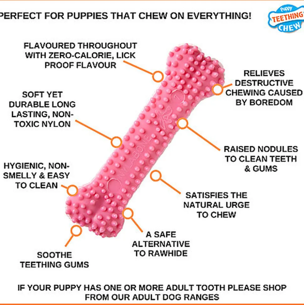 Nylabone - Jouet à Mâcher Puppy Dental Bone XS