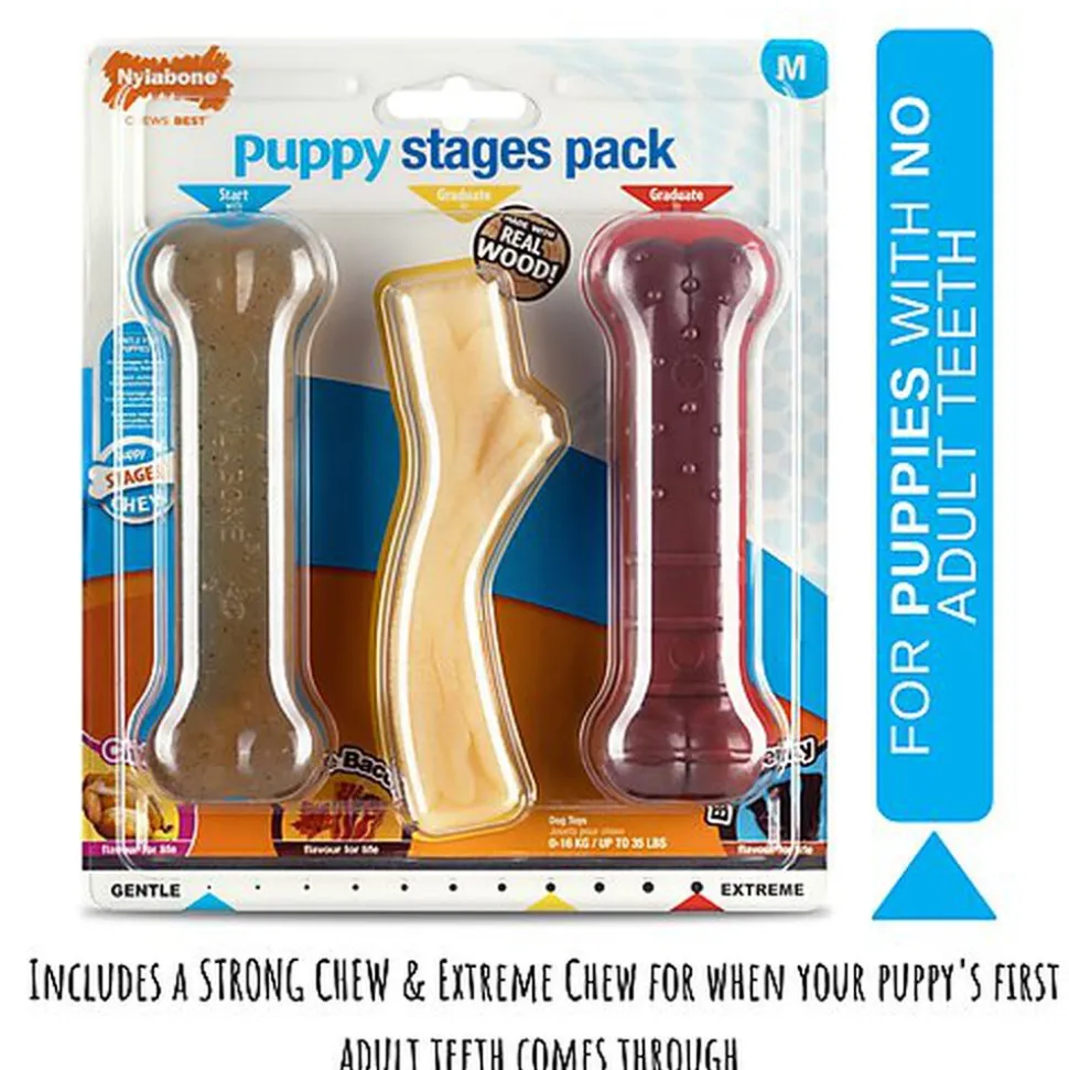 Nylabone - Jouet à Mâcher Puppy Stages Pack Poulet Bacon et Bœuf - M