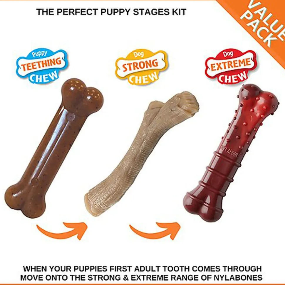 Nylabone - Jouet à Mâcher Puppy Stages Pack Poulet Bacon et Bœuf - M