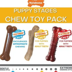 Nylabone - Jouet à Mâcher Puppy Stages Pack Poulet Bacon et Bœuf - M