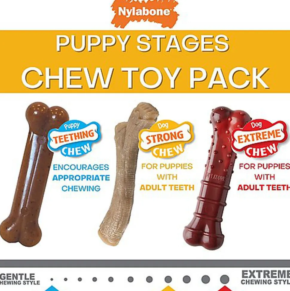 Nylabone - Jouet à Mâcher Puppy Stages Pack Poulet Bacon et Bœuf - M