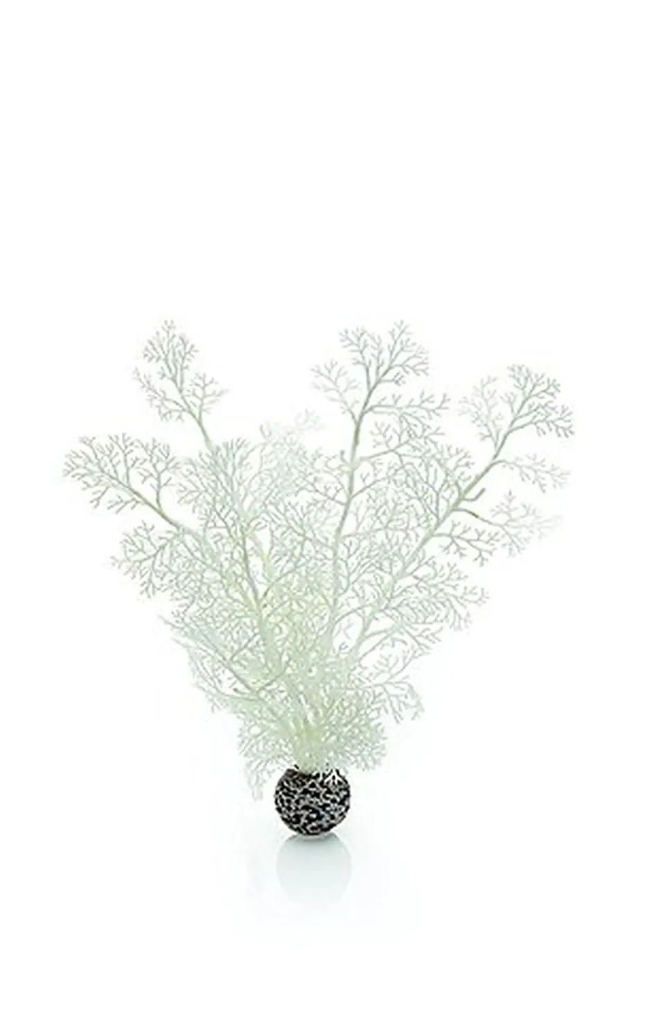 Oase - Décor Évantail de Mer Moyen Blanc pour Aquarium BiOrb