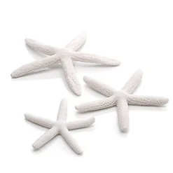 Oase - Lot de Décor Étoiles de Mer Blanc pour Aquarium BiOrb - x3