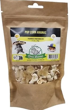 Octave Bauchant - Friandises Pop-corn Ananas Rongeurs - 25g