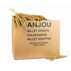 Octave Bauchant - Millet Jaune en Grappes Carton