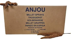 Octave Bauchant - Millet Rouge en Grappes Carton