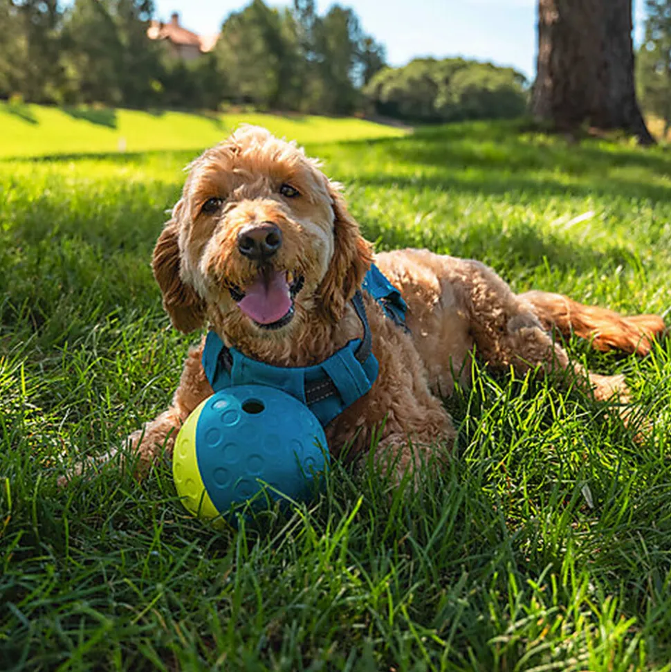 Outward Hound - Jeux FriandisesTreat Tumble - 12cm