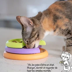 Outward Hound - Jeux Puzzle Kitty Lickin' Layers pour Chats