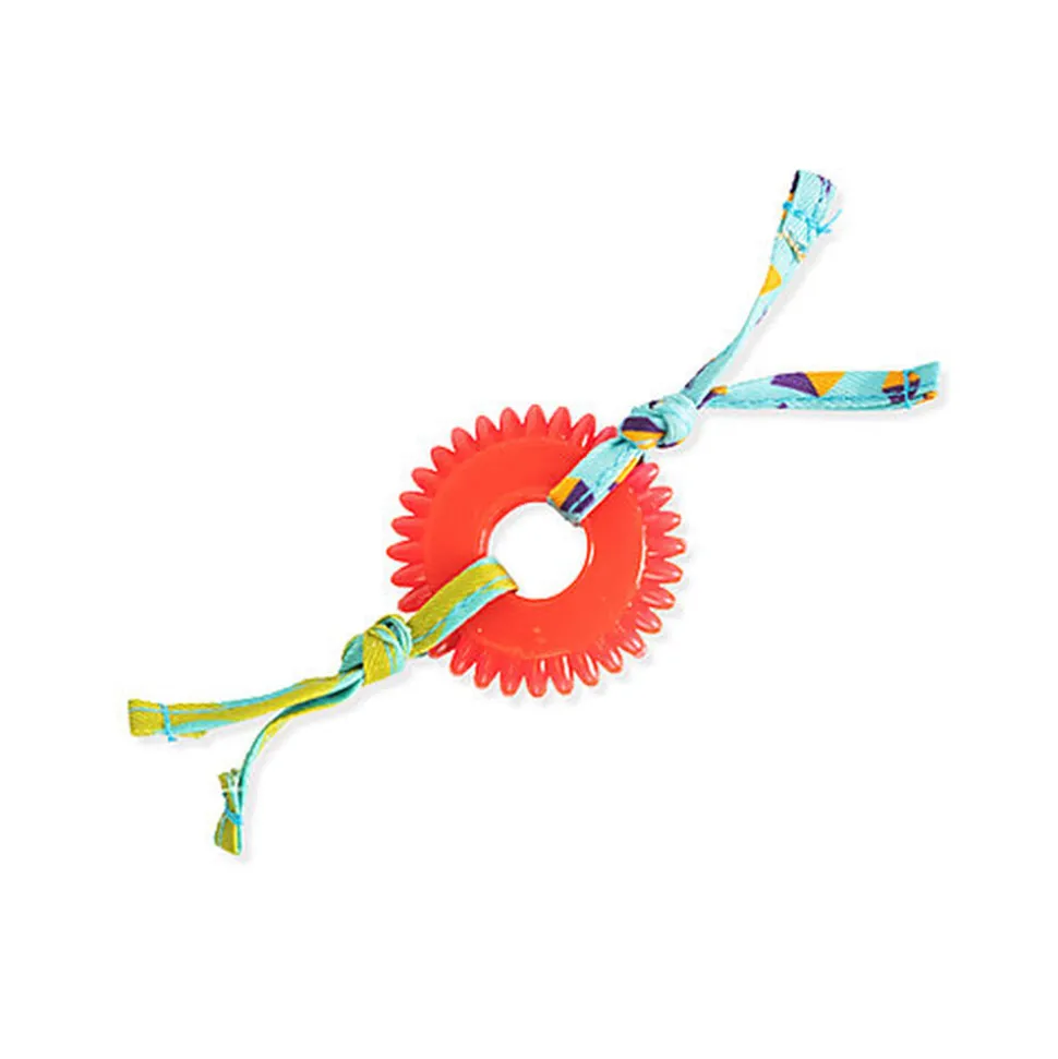 Outward Hound - Jouet à Mâcher Kitty Chew Wheel pour Chats