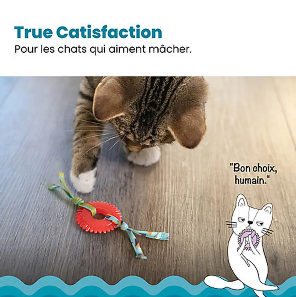 Outward Hound - Jouet à Mâcher Kitty Chew Wheel pour Chats