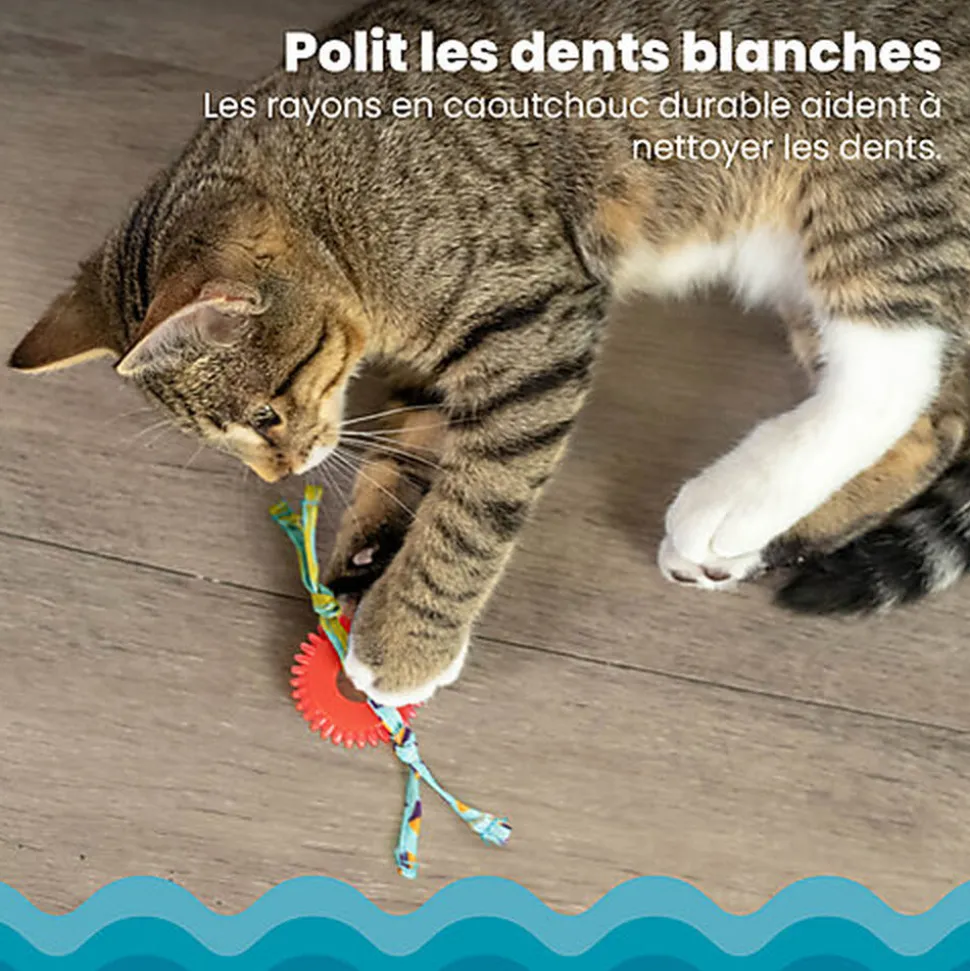 Outward Hound - Jouet à Mâcher Kitty Chew Wheel pour Chats