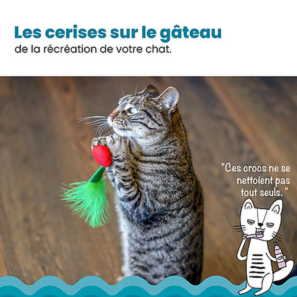 Outward Hound - Jouet à Mâcher Dental Cherries pour Chats