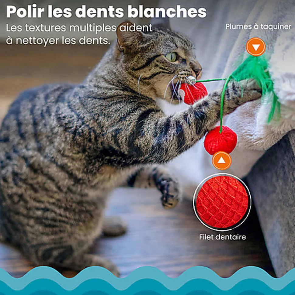 Outward Hound - Jouet à Mâcher Dental Cherries pour Chats