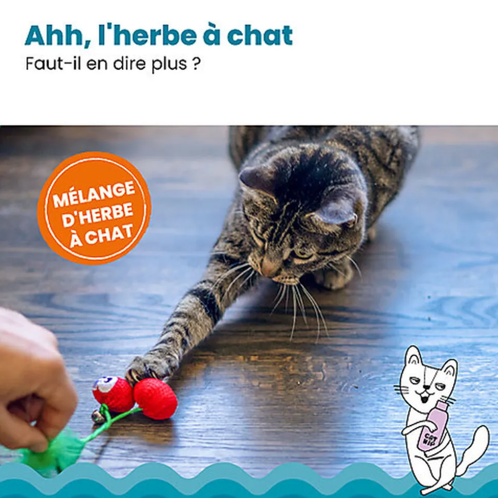 Outward Hound - Jouet à Mâcher Dental Cherries pour Chats