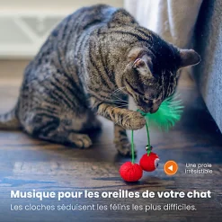 Outward Hound - Jouet à Mâcher Dental Cherries pour Chats