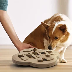 Outward Hound - Jouet Puzzle Dog Hide N'Slide