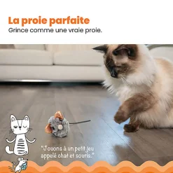 Outward Hound - Jouet Souris Squeak Mouse pour Chats - Gris