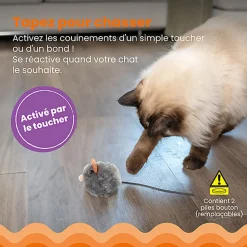 Outward Hound - Jouet Souris Squeak Mouse pour Chats - Gris