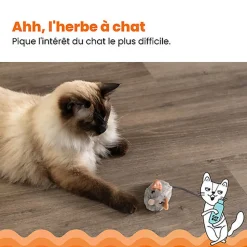 Outward Hound - Jouet Souris Squeak Mouse pour Chats - Gris