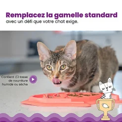 Outward Hound - Tapis d'Alimentation Fishie Fun Feed pour Chats - Rose