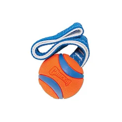 Petmate - Jouet  CHUCKIT! Ultra Tug - LG