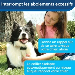 PetSafe - Collier Anti-Aboiement Moyens et Grands Chiens