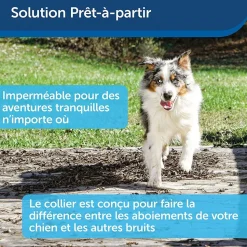 PetSafe - Collier Anti-Aboiement Moyens et Grands Chiens
