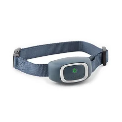 PetSafe - Collier Anti-Aboiement DELUXE pour Chien