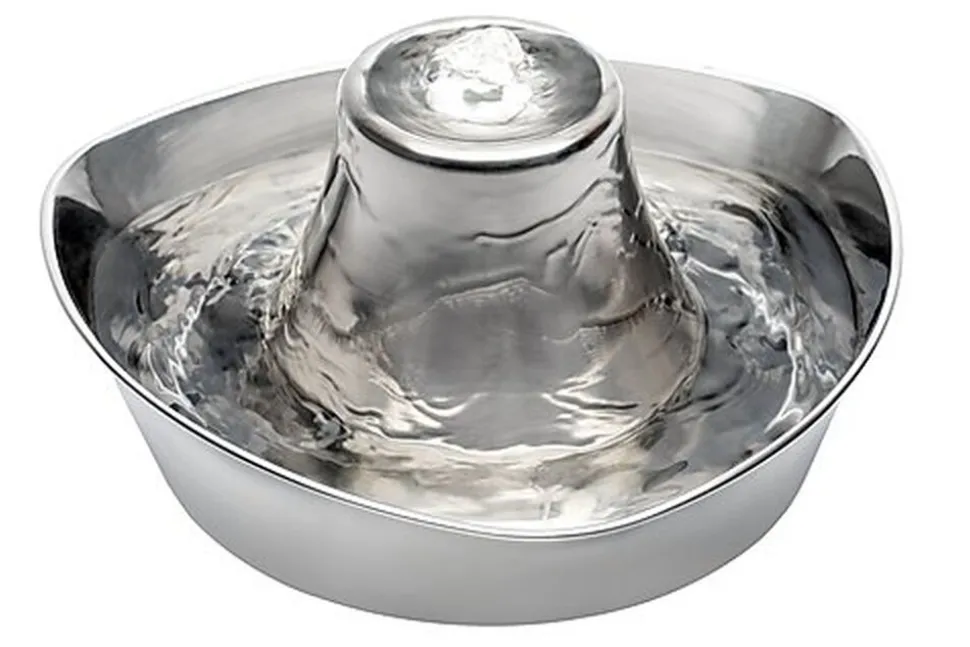 PetSafe - Fontaine à Eau Seaside Inox pour Chien et Chat - 1,7L