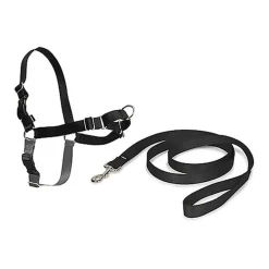 PetSafe - Harnais Easy Walk Noir pour Chiens - XL
