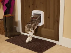 PetSafe - Porte à Puce Electronique pour Chiens et Chats - Blanc