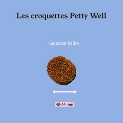 Petty Well - Croquettes Saumon sans Céréales pour grands Chiens - 12kg