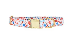 Pompon & Pets - Collier Spring pour Chiens