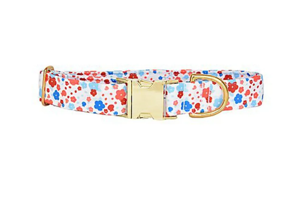 Pompon & Pets - Collier Spring pour Chiens