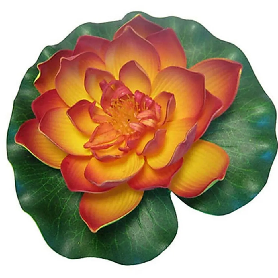 Pontec - Nénuphar PondoLily pour Bassin - Orange