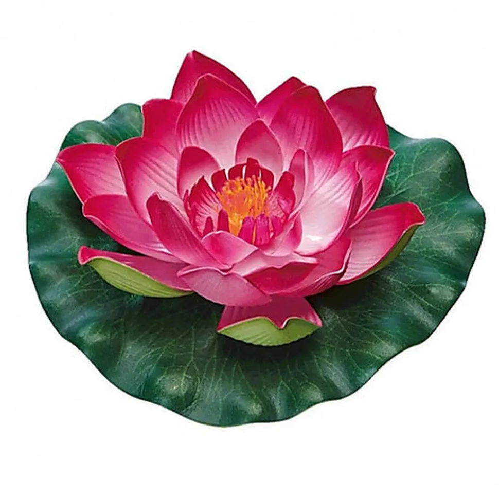 Pontec - Nénuphar PondoLily pour Bassin - Rouge