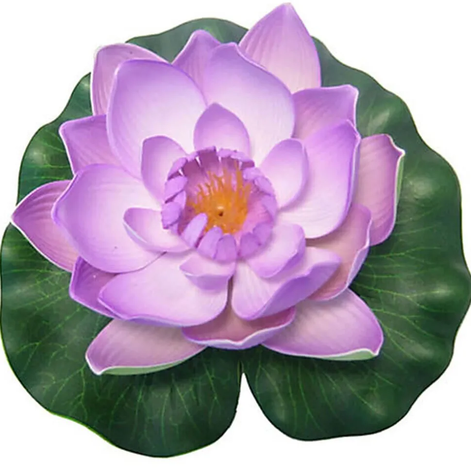 Pontec - Nénuphar PondoLily pour Bassin - Violet