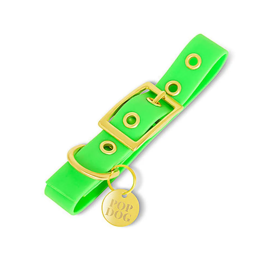 Pop Dog - Collier à ¼illet Diablotin Rouge pour Chien