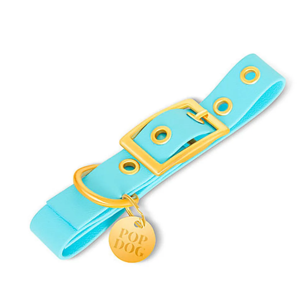 Pop Dog - Collier à ¼illet Dragueur Bleu pour Chien