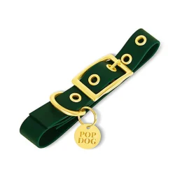 Pop Dog - Collier à ¼illet Elégant Vert pour Chien