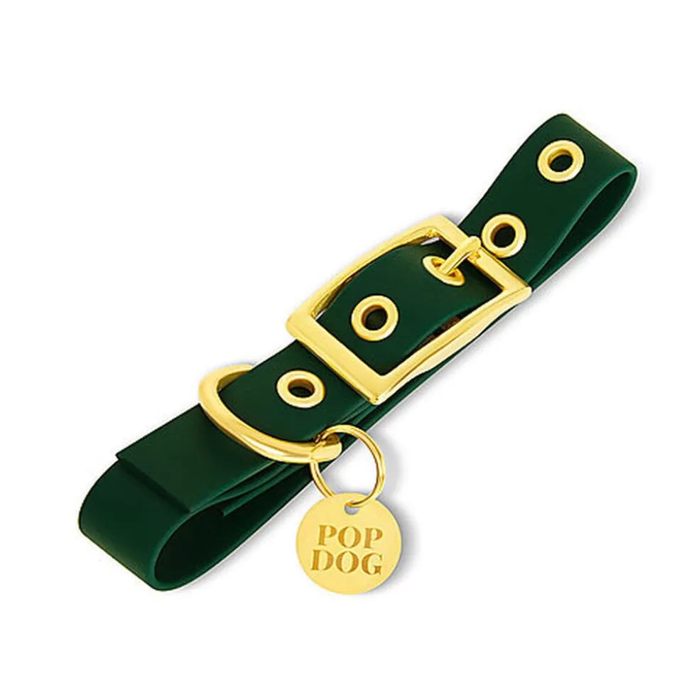 Pop Dog - Collier à ¼illet Elégant Vert pour Chien