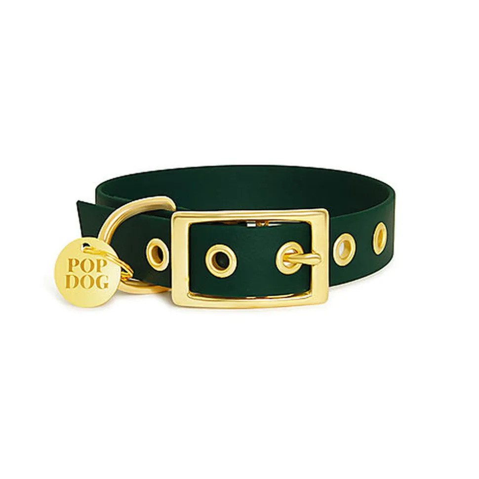 Pop Dog - Collier à ¼illet Elégant Vert pour Chien