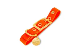 Pop Dog - Collier à ¼illet Foufou Orange pour Chien