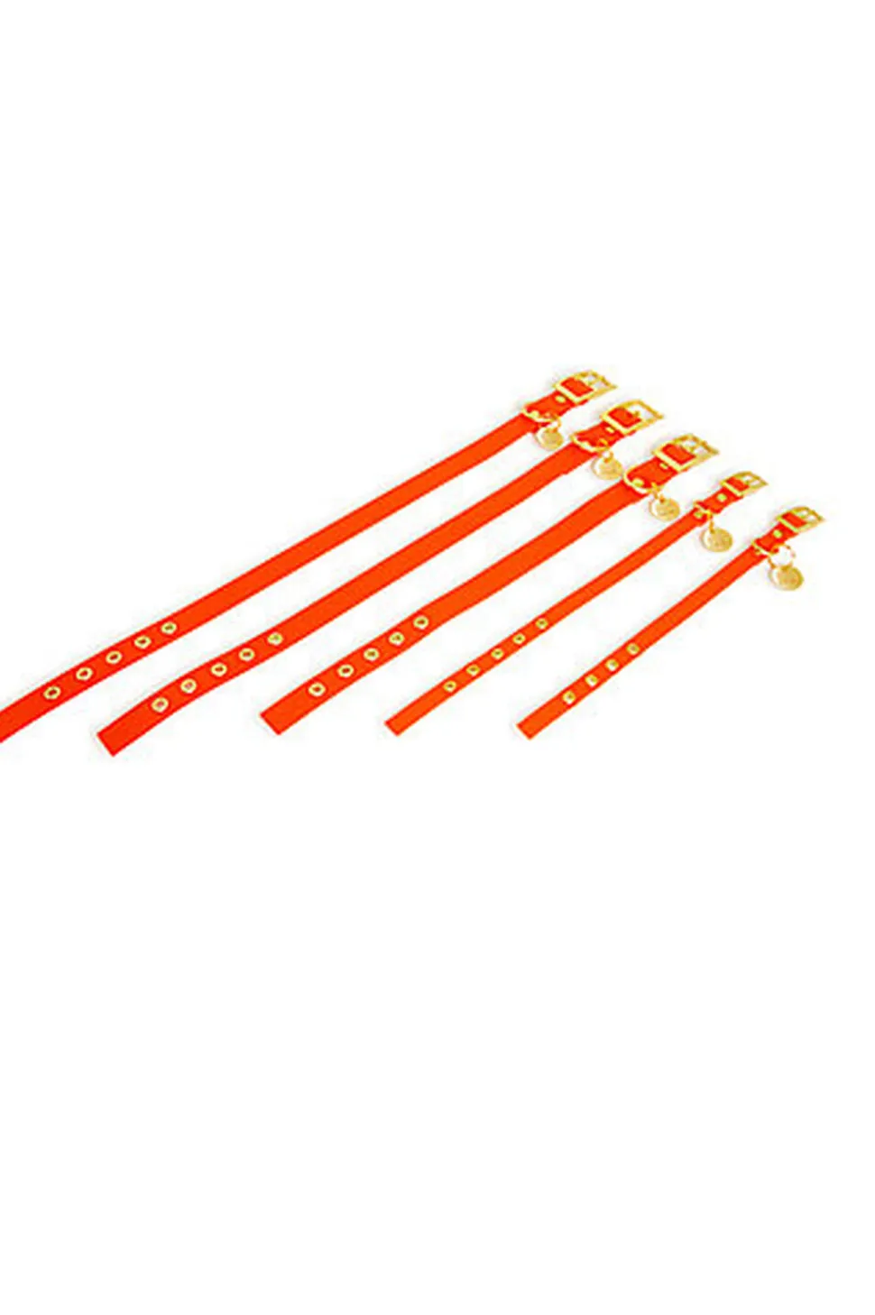 Pop Dog - Collier à ¼illet Foufou Orange pour Chien