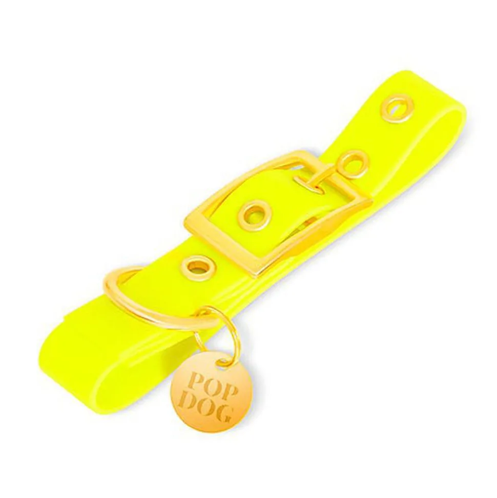 Pop Dog - Collier à ¼illet Joyeux Jaune pour Chien