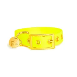Pop Dog - Collier à ¼illet Joyeux Jaune pour Chien