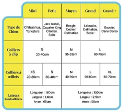 Pop Dog - Collier à ¼illet Joyeux Jaune pour Chien